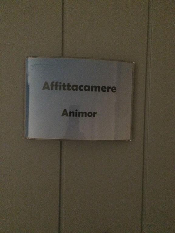 Affittacamere Animor Cagliari Ngoại thất bức ảnh